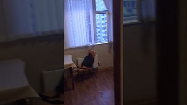 Gogul.ru Продам 1кв метро Профсоюзная в доме П-44т смотреть онлайн