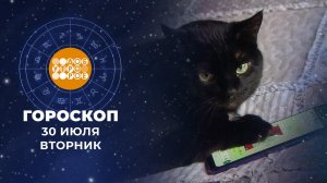 Гороскоп на 30 июля. Доброе утро. Фрагмент выпуска от 30.07.2024