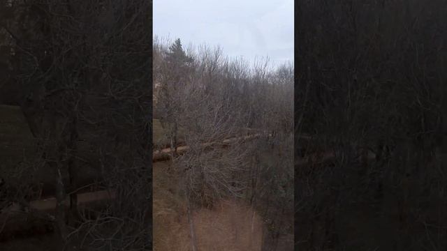 Кисловодск. Канатка. 09.11.2022 смотреть онлайн