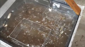 мойка гбц средством Профис Ультра МК