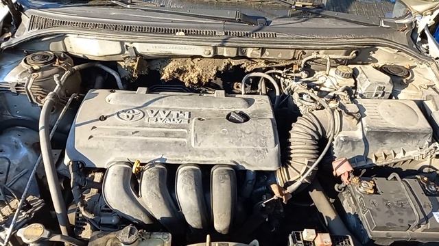 Toyota Avensis 1.8 16V ( 1ZZ-FE ) 95kW r.2003 stříbrná смотреть онлайн