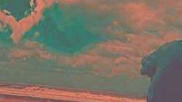 Wo Bist Du . . ? смотреть онлайн