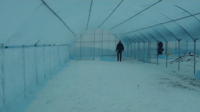 Круглогодичная теплица в Кипарисово смотреть онлайн