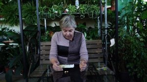 Гинкго Билоба ? посадка, выращивание и уход