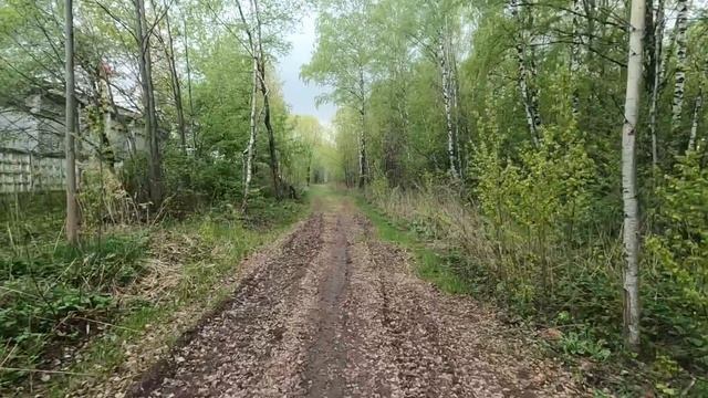 Достависта .. Промзоны, Собаки, Дождь, Повышенный Процент / ПешеКурьер / Dostavista   Работа