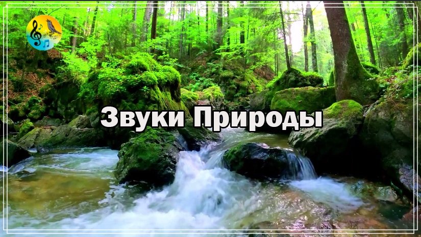 Релаксация ? Звуки природы и расслабляющие звуки лесной реки ? Медитация смотреть онлайн