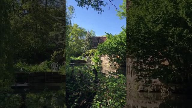 Гуляя по парку в Ессентуках смотреть онлайн