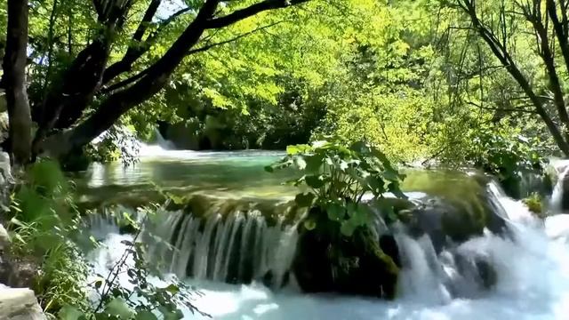 заповедники природных зон России смотреть онлайн