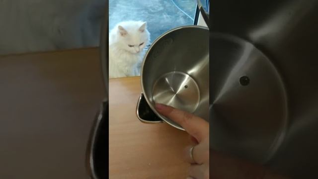 Чайник Redmond SkyKettle RK-M216S. Обзор 1 смотреть онлайн