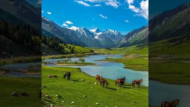 Биз Тобу ⭐хит ырлары 🎵Biz tobu смотреть онлайн