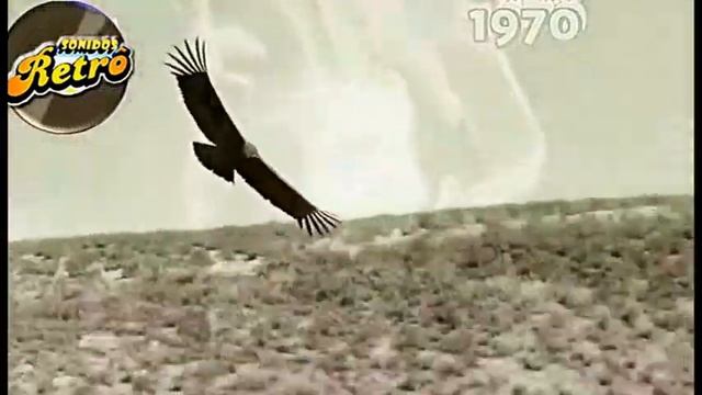 запишите на ваши магнитофоны № 7 Video смотреть онлайн