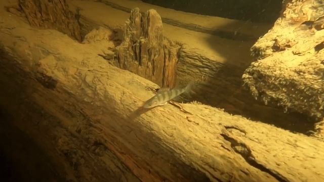 Ладога, Одиссей-2. Май’19. смотреть онлайн