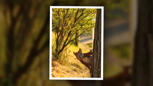 Wow Photo that are worth seeing at least once part-67 | Фотографии которые стоит увидеть хотя бы ра смотреть онлайн