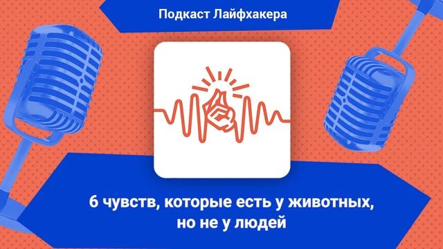 6 чувств, которые есть у животных, но не у людей смотреть онлайн