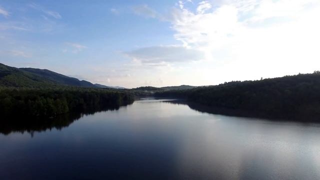 Наедине с природой пение птиц журчание ручья всплеск воды шум леса благодать и умиротворение. смотреть онлайн