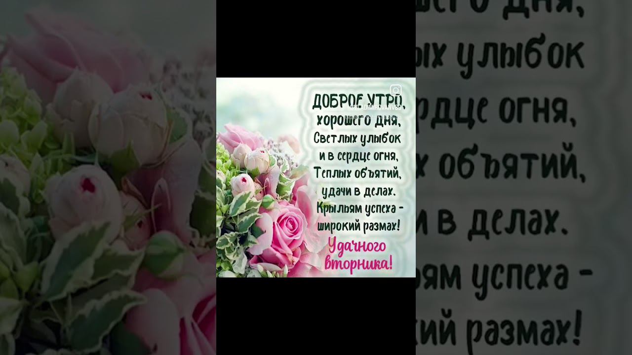 доброе утро и хорошего вторника