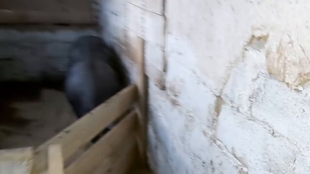 Обзор ХОЗЯЙСТВА / ГЕНЕРАЛЬНАЯ УБОРКА! смотреть онлайн