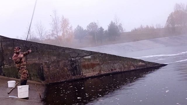 Ловля окуня на Трояне, на креветку, на поплавок!!! смотреть онлайн