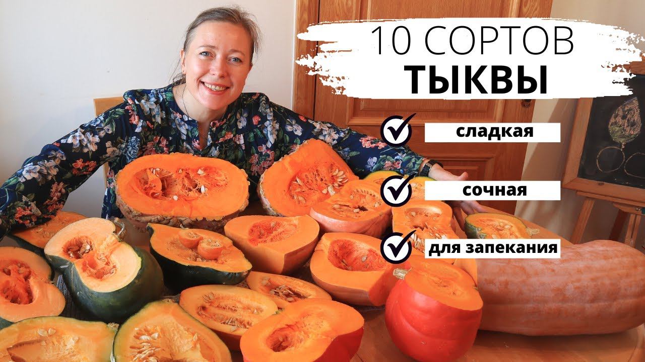 Выбираю самый вкусный сорт тыквы / 10 сортов тыквы смотреть онлайн