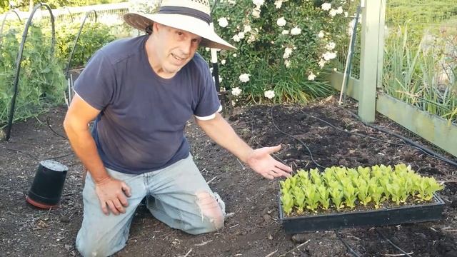 Planting Our China Asters смотреть онлайн