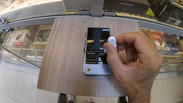 Fostex TE-04- обзор.