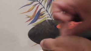 Как мыть пластинку (винил) в домашних условиях