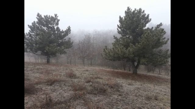 Kia Sportage 1 от стока до маленького танчика