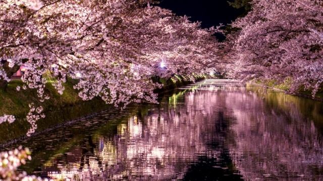 Тонкая сонастройка с единомышленниками.