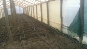 Отопление теплиц пластиковыми трубами подогрев води