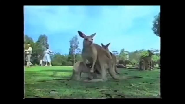 Geoffrey Giraffe Animal Alphabet