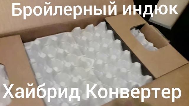 Яйцо Бройлерный индюк Хайбрид Конвертер Канада смотреть онлайн