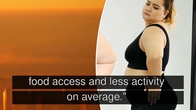 Air pollution is making women fat, says a new study смотреть онлайн