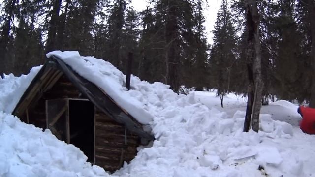 Пока держит наст. Подготовка к пушному промыслу. Часть 2; О "зимоспящих" зверях и их жирах)) смотреть онлайн