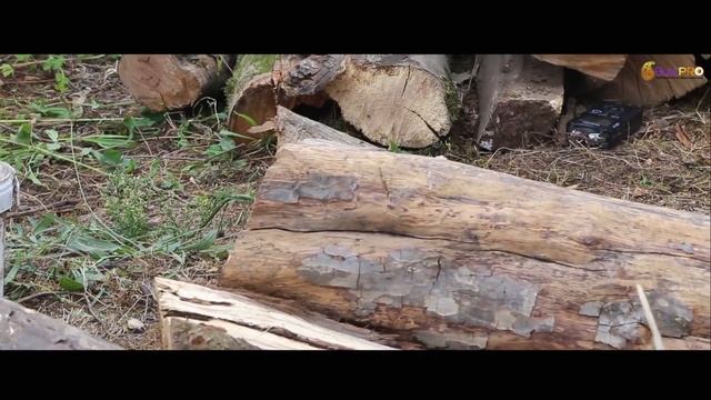 Azerbaijan Tourism /Talish Region.Astara (Талышские горы) #NationalGeographic #TOURISM