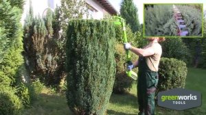 G-MAX 40V Телескопический кусторез 51 см GREENWORKS G40PH51