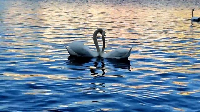 Отмечаем День Рождения .2 годика смотреть онлайн