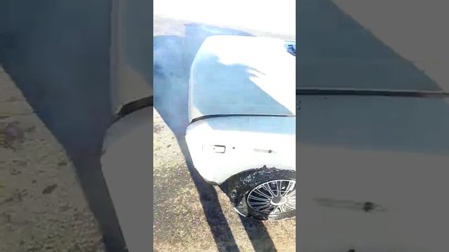 с. Большие Шемердяны смотреть онлайн