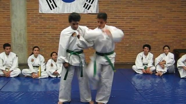 SINMOO HAPKIDO STEP BY STEP смотреть онлайн