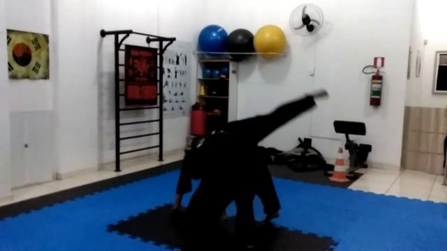 Hapkido Itajuba Garras Brasil смотреть онлайн