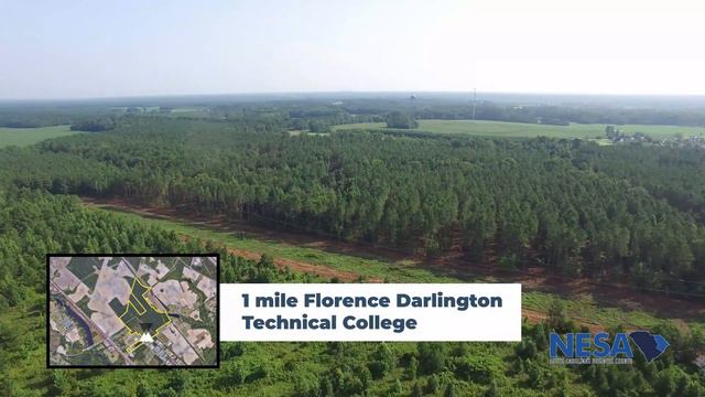 NESA Minute January 2020