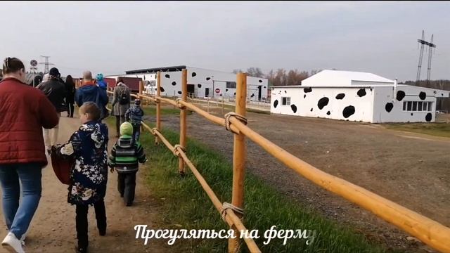 Сыроварня Олега Сироты. Идея выходного дня для всей семьи смотреть онлайн