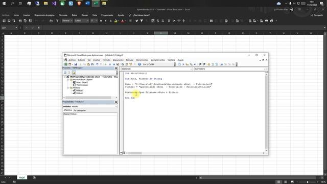 Como ABRIR un Archivo con VBA Excel 365 | Visual Basic смотреть онлайн