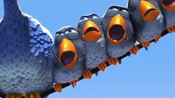 Birds on a Wire - For the Birds