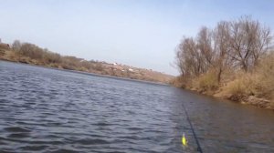 Sea-pro T3S Дон против течения