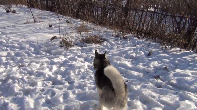 Рено Дастер запуск в - 27 смотреть онлайн