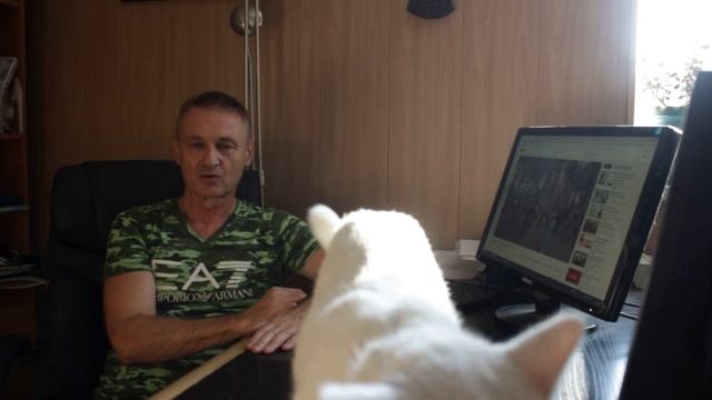 Чеснок- лекарство от 100 болезней. Как правильно есть чеснок. смотреть онлайн