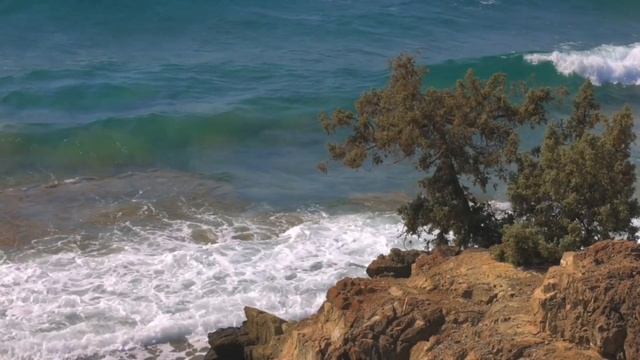 Мужчины,которых мы выбираем смотреть онлайн