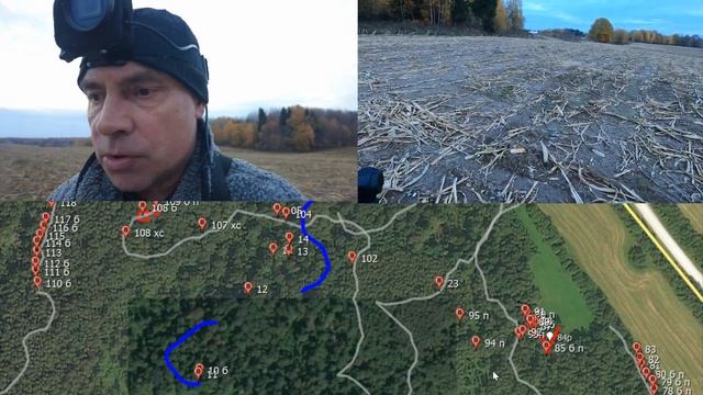 Лес 46 Крево Восток- 3. 22 октября 2022 года. Вечер смотреть онлайн