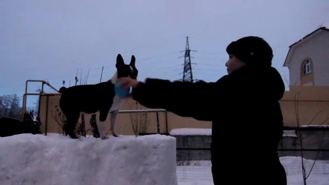 Зимние забавы смотреть онлайн