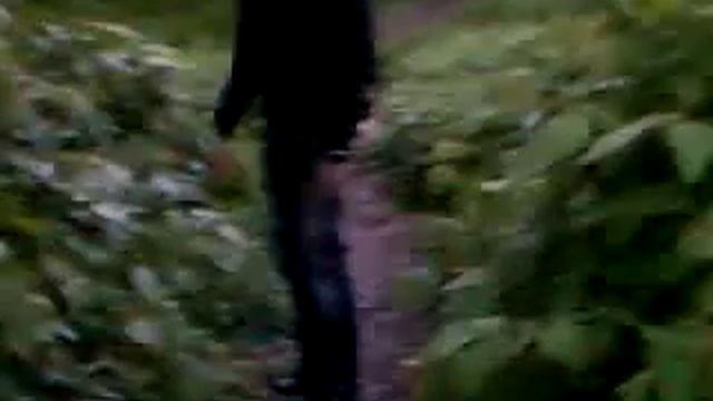 Смех без причины....=))) смотреть онлайн